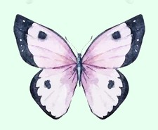 Personality Test Butterfly 4